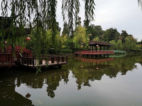 公園水景