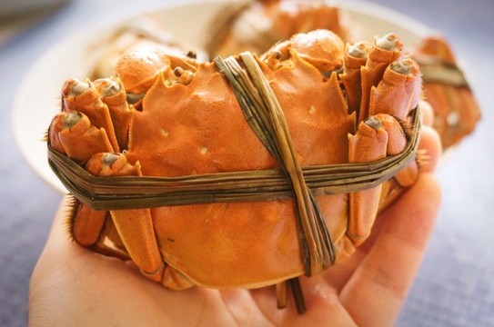 大閘蟹