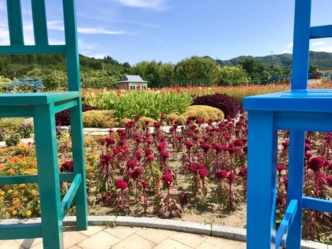 雙椅間的風(fēng)景