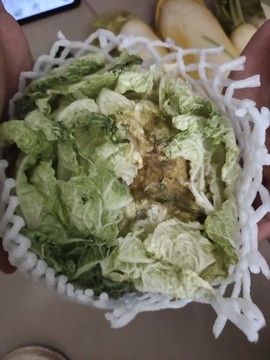 壞了的白菜