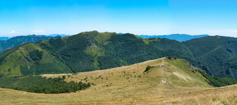 初秋的靈山高山草甸