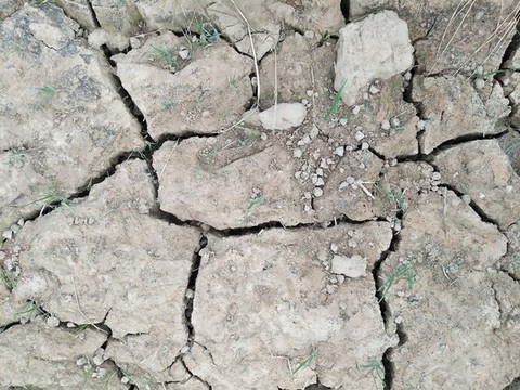 土地開裂