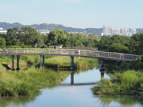 濕地公園綠道