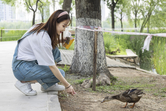 在公園里喂鴨子的甜美東方女孩