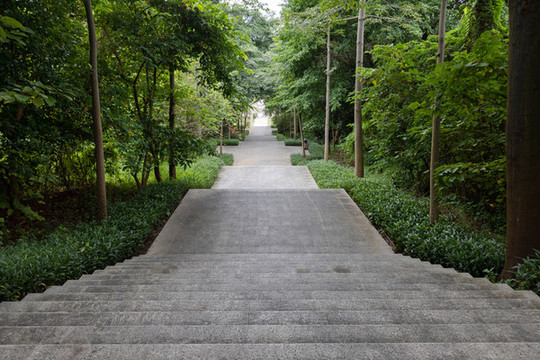 琶洲公園里的林蔭小道