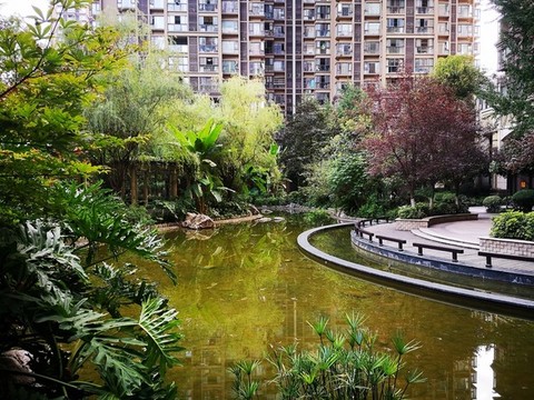 小區(qū)水景