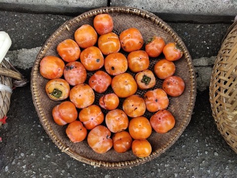 紅柿子