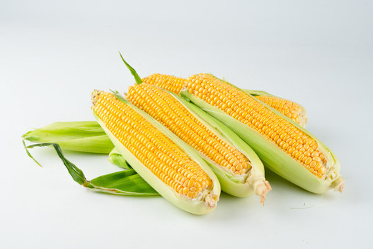 玉米