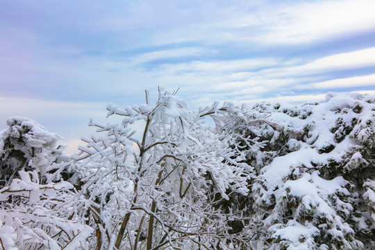 廬山小天池雪景
