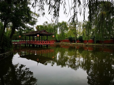 公園水景