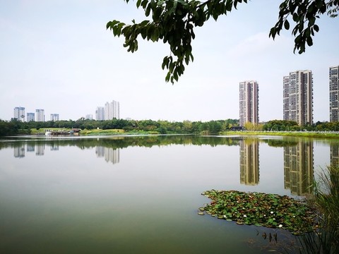 青龍湖