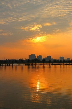 鄉(xiāng)村秋晨美
