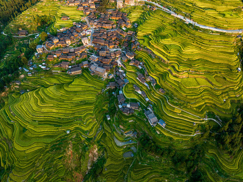 加榜梯田