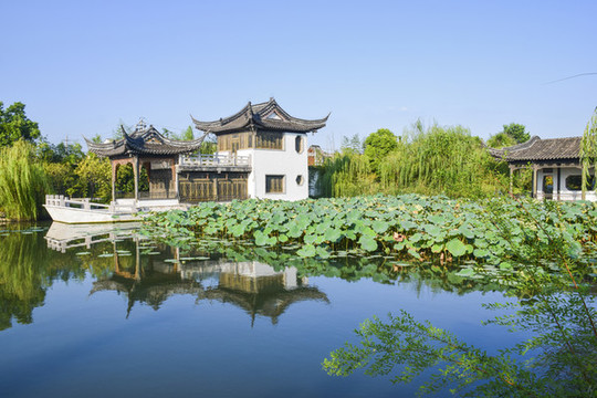 揚(yáng)州瘦西湖公園園林景觀