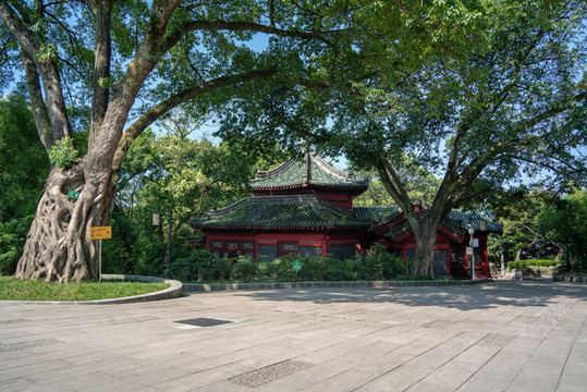 重慶渝中區(qū)鵝嶺公園蓮池