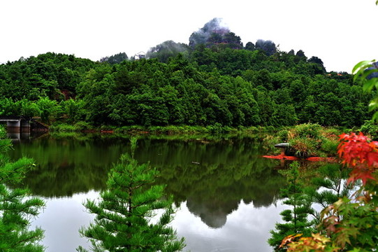 廣東平遠(yuǎn)五指石