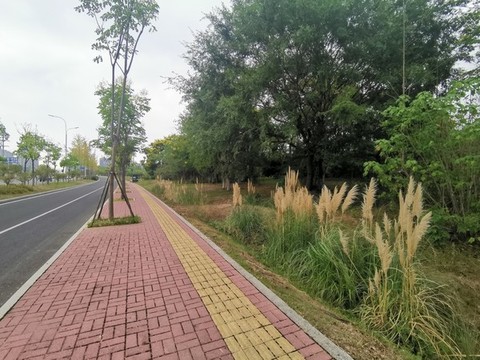 人行道