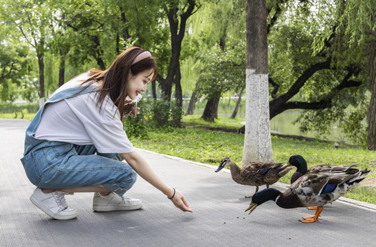 在公園里喂鴨子的甜美東方女孩