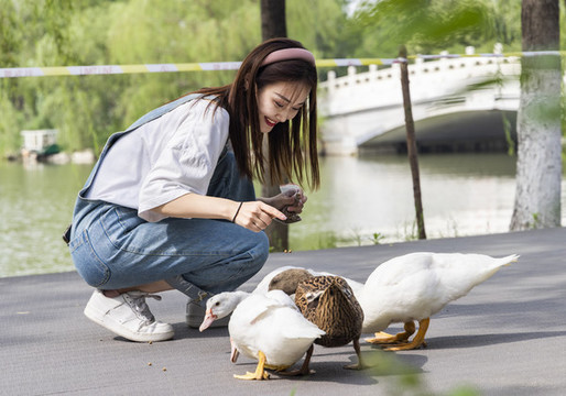 在公園里喂鴨子的甜美東方女孩
