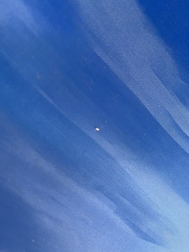 金蟬養(yǎng)殖