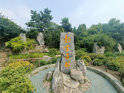 龍字石林