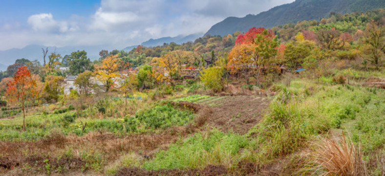 塔川秋色全景圖