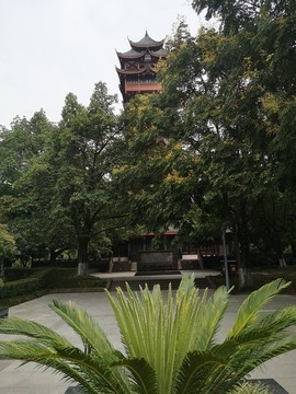 塔子山公園