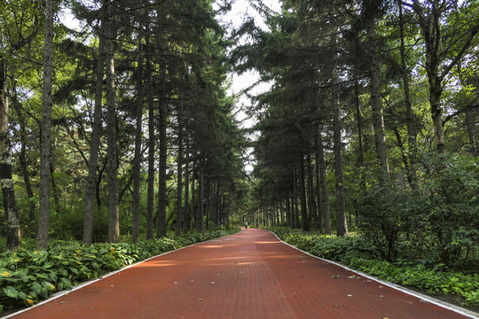 林間甬路