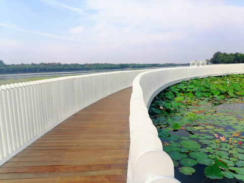 石家莊太平河公園