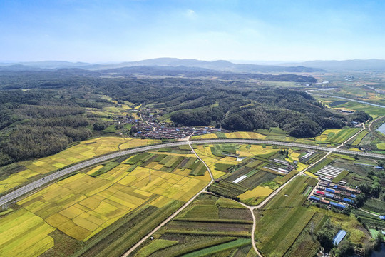 舒蘭市