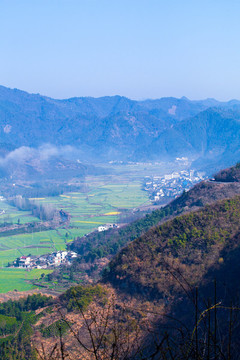 柯村油菜花