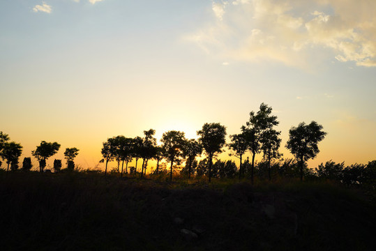 夕陽(yáng)云彩樹木