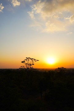 夕陽云彩樹木