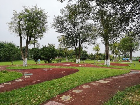 生態(tài)公園