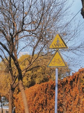 秋天的路牌