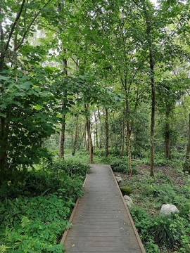 公園步道
