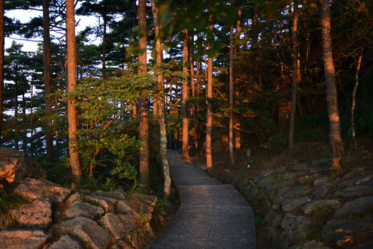 安徽黃山風(fēng)景