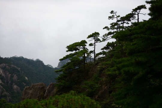黃山風(fēng)光