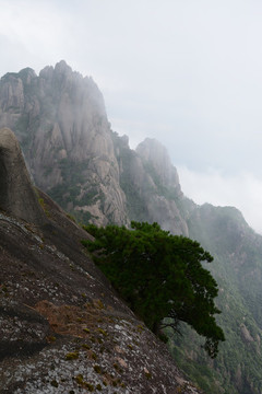 黃山