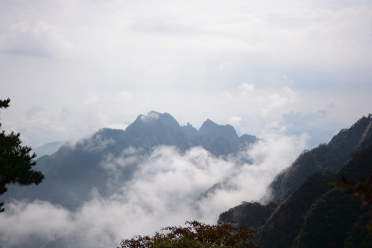 黃山奇峰