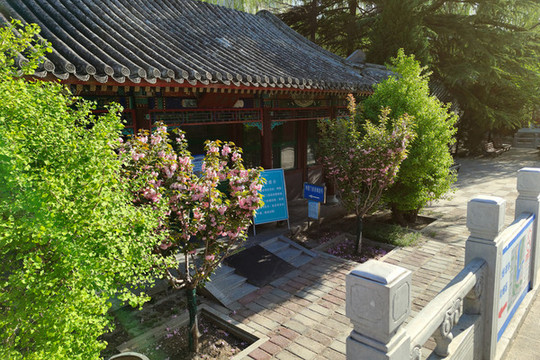 北京棍貝子府花園