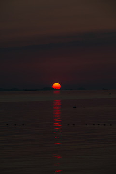 大海日出