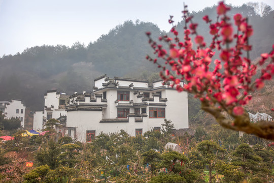 賣花漁村