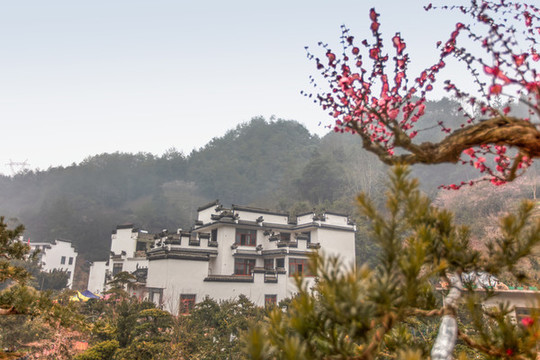 賣花漁村