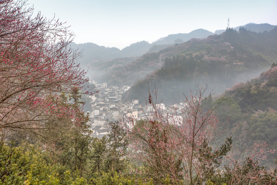 賣花漁村
