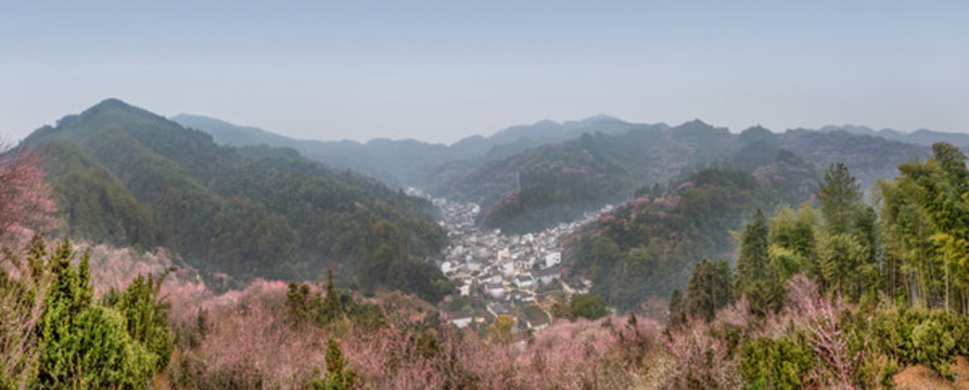 賣花漁村全景圖