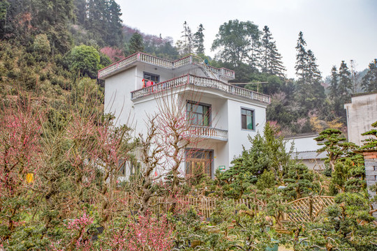 賣花漁村
