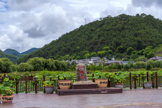 野鴨湖