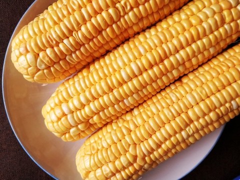 玉米