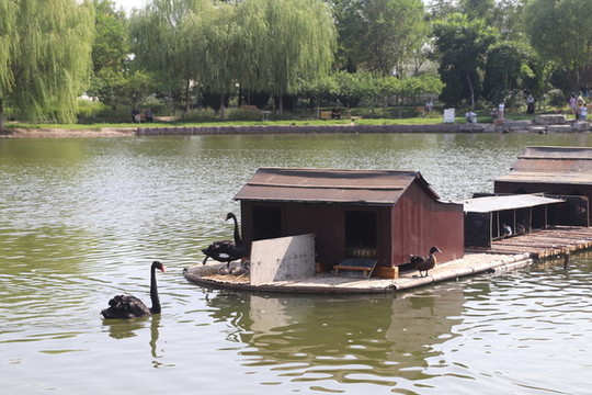 水上家園